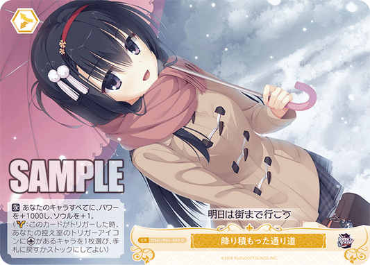 OS01/R01-025 - 降り積もった通り道(C)