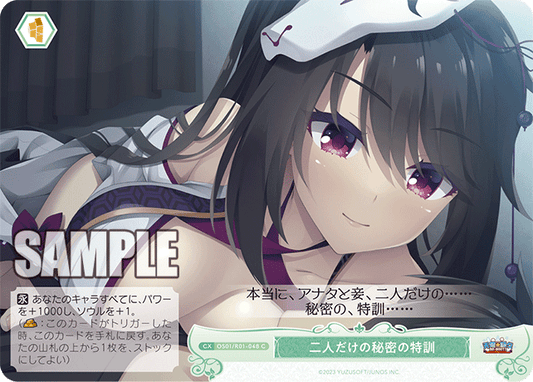 OS01/R01-048 - 二人だけの秘密の特訓(C)