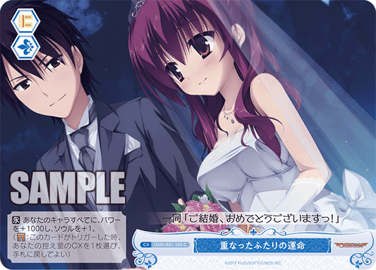 OS01/R01-100 - 重なったふたりの運命(C)