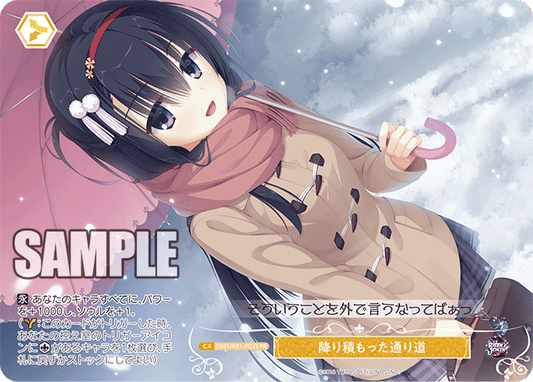 OS01/R01-P03S - 降り積もった通り道(PR)