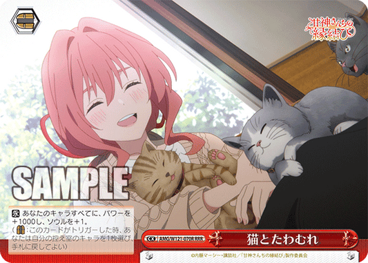 AMG/W121-070R 猫とたわむれ (RRR)
